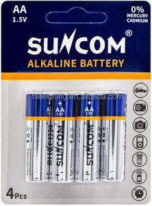 AA Alkaline Battery